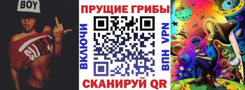 Галлюциногенные грибы GOLDEN TEACHER  Камешково 